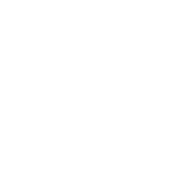 Aurum Gruppe